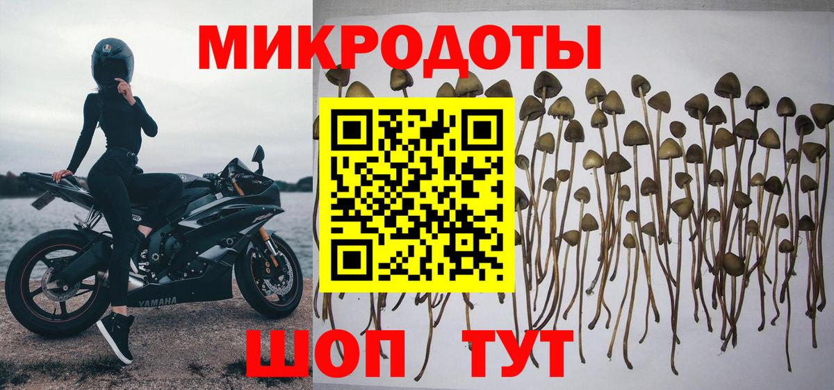 Галлюциногенные грибы мухоморы  Вход с VPN  Борзя 