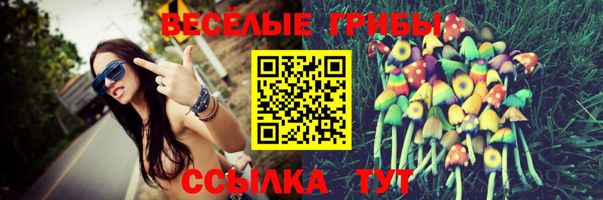 ГАШИШ Борзя