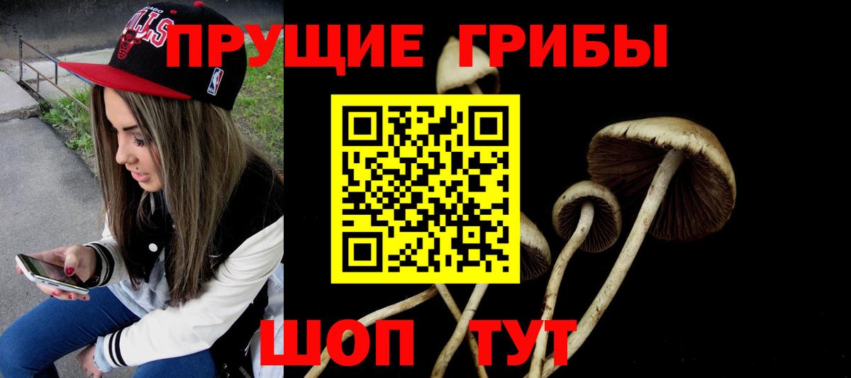 Галлюциногенные грибы Cubensis Борзя